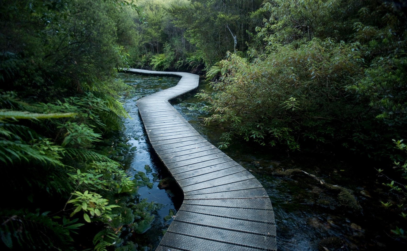 Webinar events thumbnail